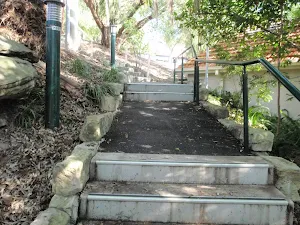 Hodgson Ave steps