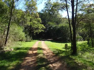 The old Ten Mile Hollow Rd