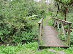 Sheldon Forest Walk