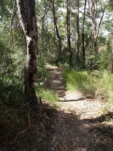 Great North walks Near Fairylands