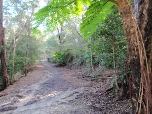 Clarinda St dog walking trail
