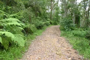 Management trail north of Rosemead Rd