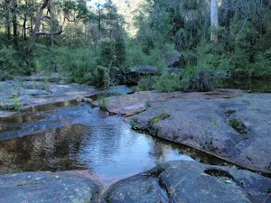 Lincoln Creek
