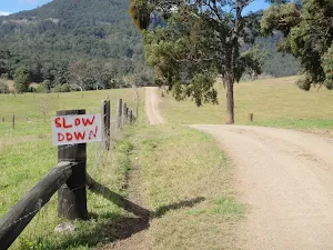 a slow down warning sign for cars