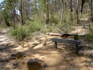 Pope's Glen Track