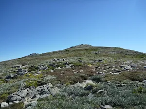 Looking up at Muellers Peak from the south