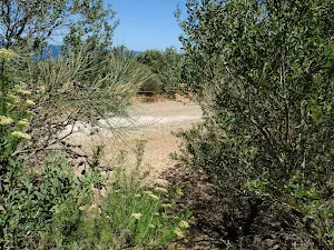 Upper end of Grass Tree Track