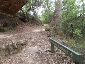 Track to Copelands lookout