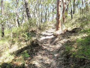 Walking up this hill on the Palm Tree Circuit Track