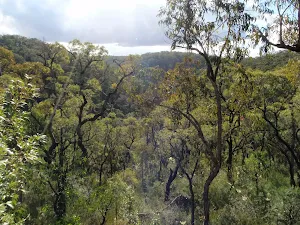 View from track above Grinding Grooves