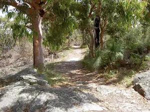 Service trail away from caldasac