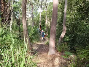 Walkers on the track