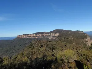 Narrow Neck