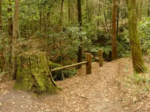 Timber post and railing near the dammed pool in the Watagans