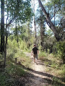 Walker on the Great North Walk