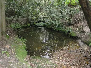 Pool next to track
