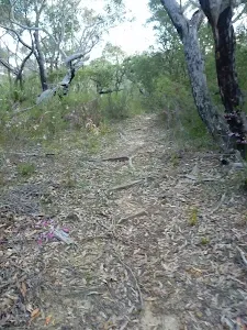 Walking along Fredericks Track