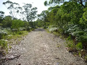 Wide track on the Galgabba walk near Swansea