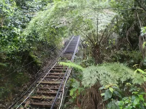 The Scenic Railway