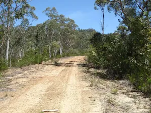Winding along Donny's Track