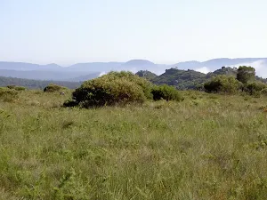 View from Flat Top