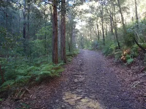 Joes Mountain service trail