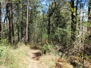 Walking along Warri Warri Track