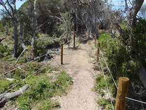 Track behind North Tura dunes