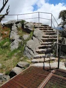 Last few stairs to the top of Main Range Lookout