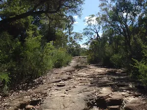 Rocky section of the Old Great north walk east of 3 Mile trail
