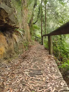 Guringai Walk 