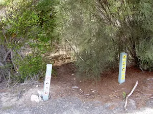 Track away from Bundeena Drive
