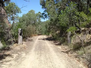 Posts on Donny's Track