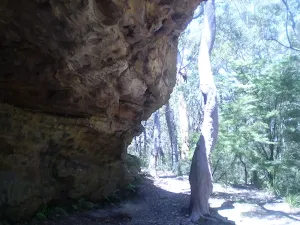 Chinamans Gully Campsite