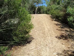 Service trail down to Bantry Bay