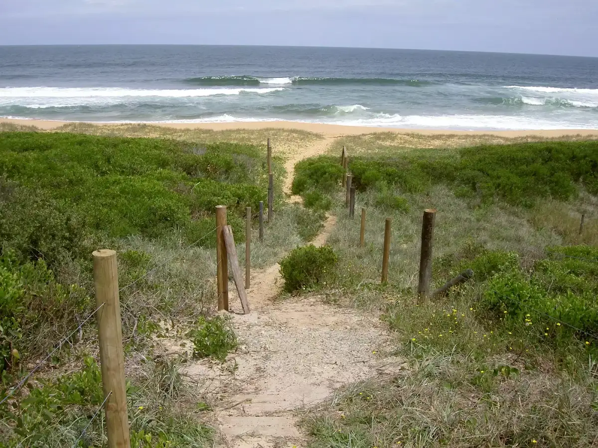 Tallow Beach camping area
