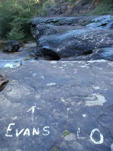 Track markings to Evans Lookout