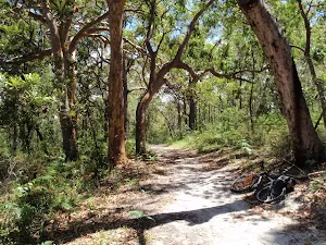 Warriwarri Lookout trail