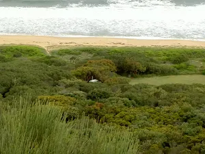 Tallow Beach Campsite from Hawke Head Drive