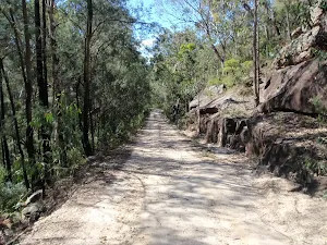 The OGNR with sandstone cuttings