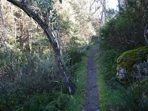 Walking along Merritts Nature Track