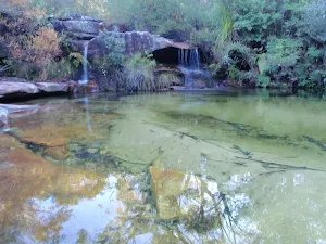 Lovett Pools