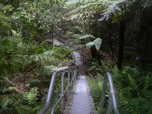 Stairs down into Leura Forest