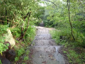 wide track south of Athol Hall