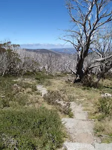 Distant sweeping views