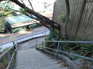 Steps looking down to Mosman Wharf