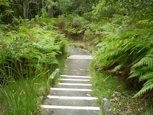 Powder Hulk Bay path