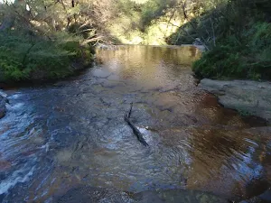 Jamison Creek above Weeping Rock