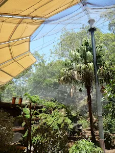 Blackbutt Wildlife Exhibits