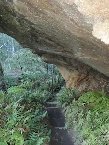 Track Passing under cave